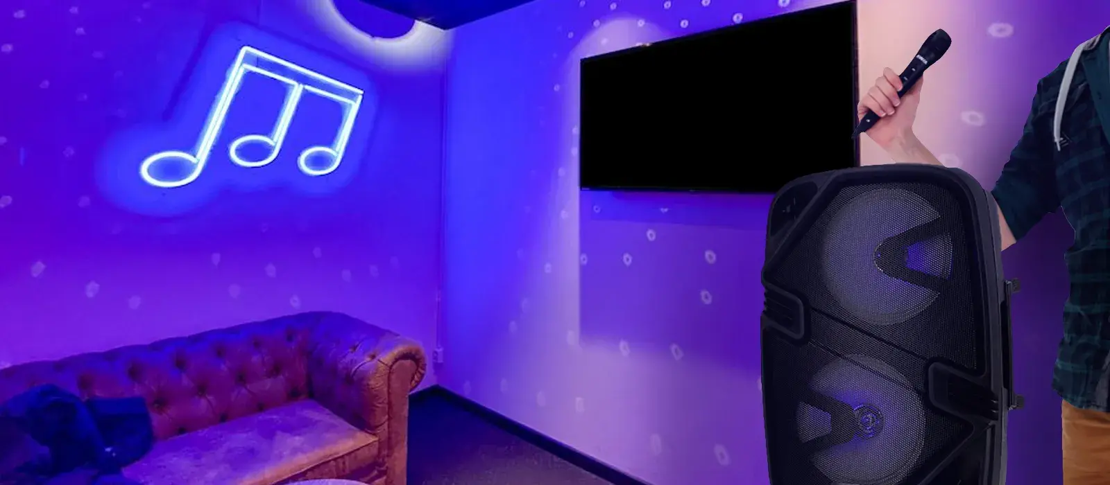 Entrada para microfone